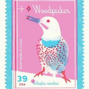 Woodpecker stamp illustration using Beverly Drive font