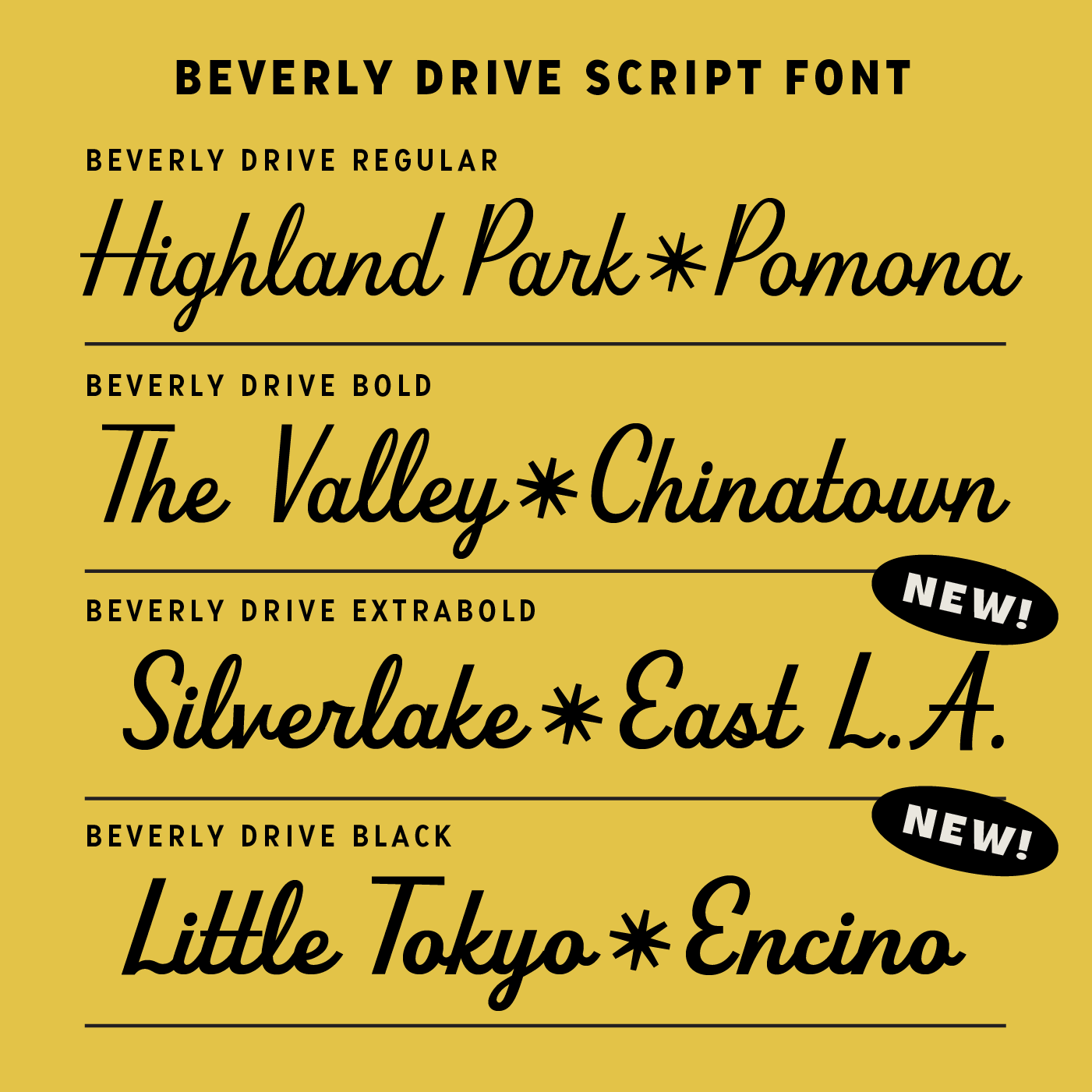 Beverly Drive Right script font 4 weights Cover