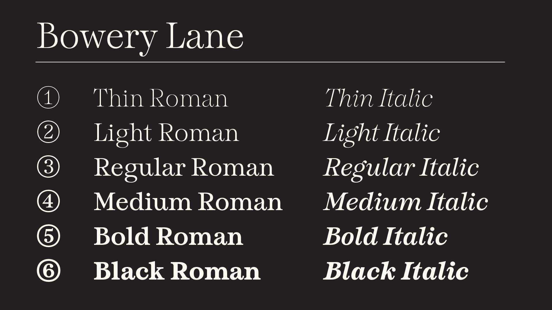 Bowery Lane Hoodzpah weights on black font