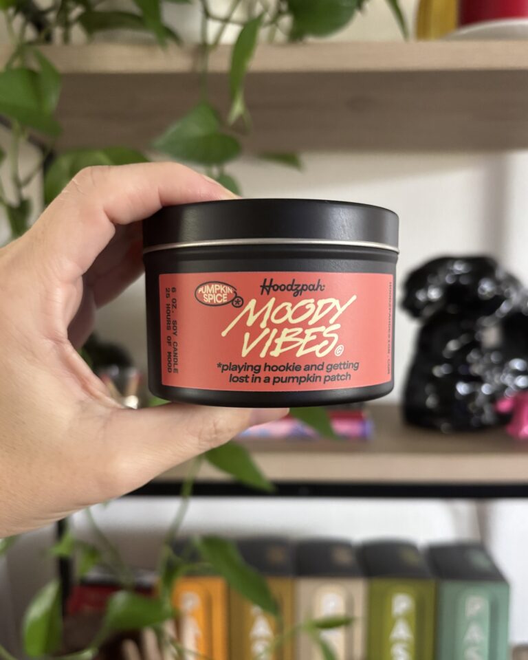 Getting Lost in a Pumpkin Patch Candle Hoodzpah 2