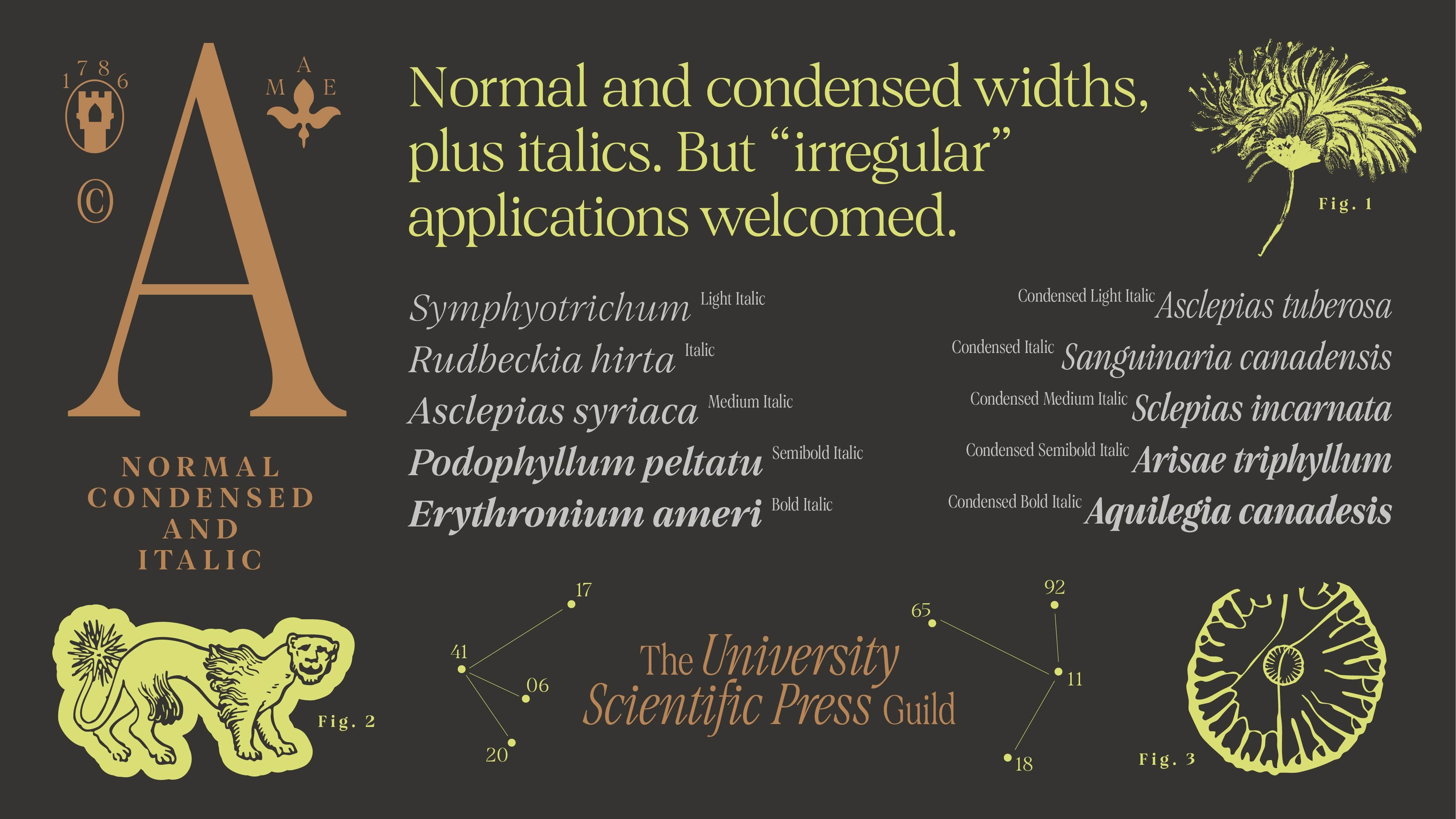 Hoodzpah Cambridge Serif Typeface Specimen A badge