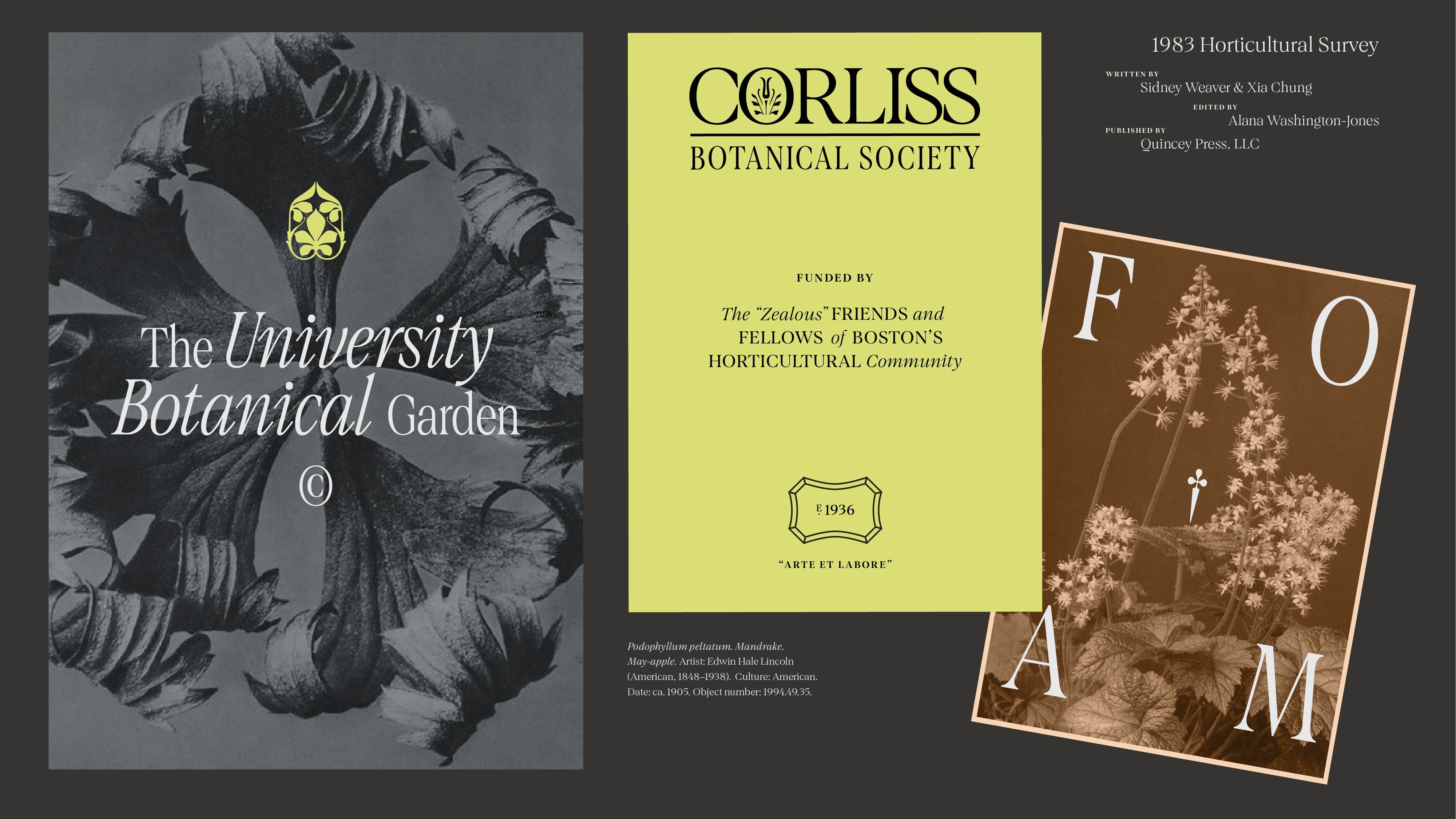 Hoodzpah Cambridge Serif Typeface Specimen Garden