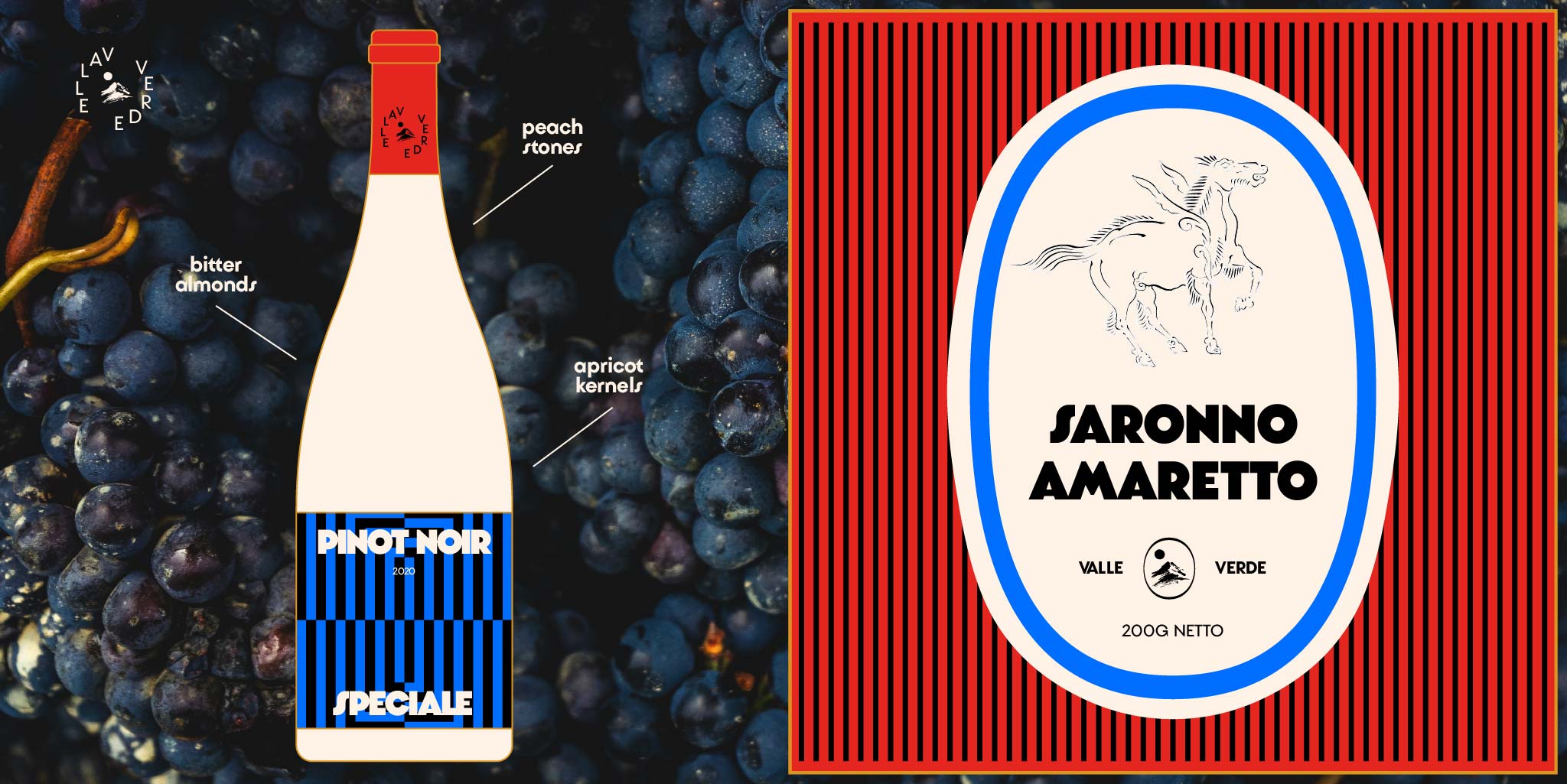 Molfetta specimen final Fort Foundry Fort Foundry 04