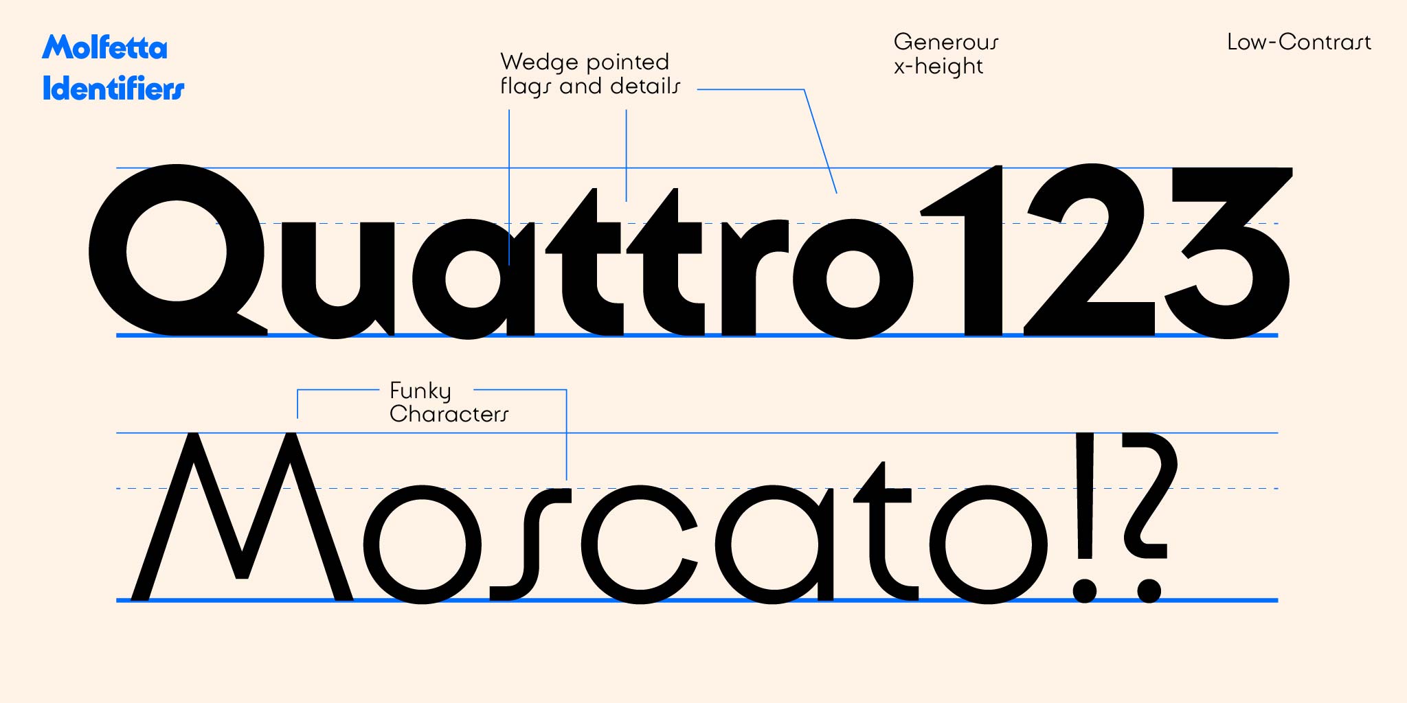 Molfetta specimen final Fort Foundry Fort Foundry 12