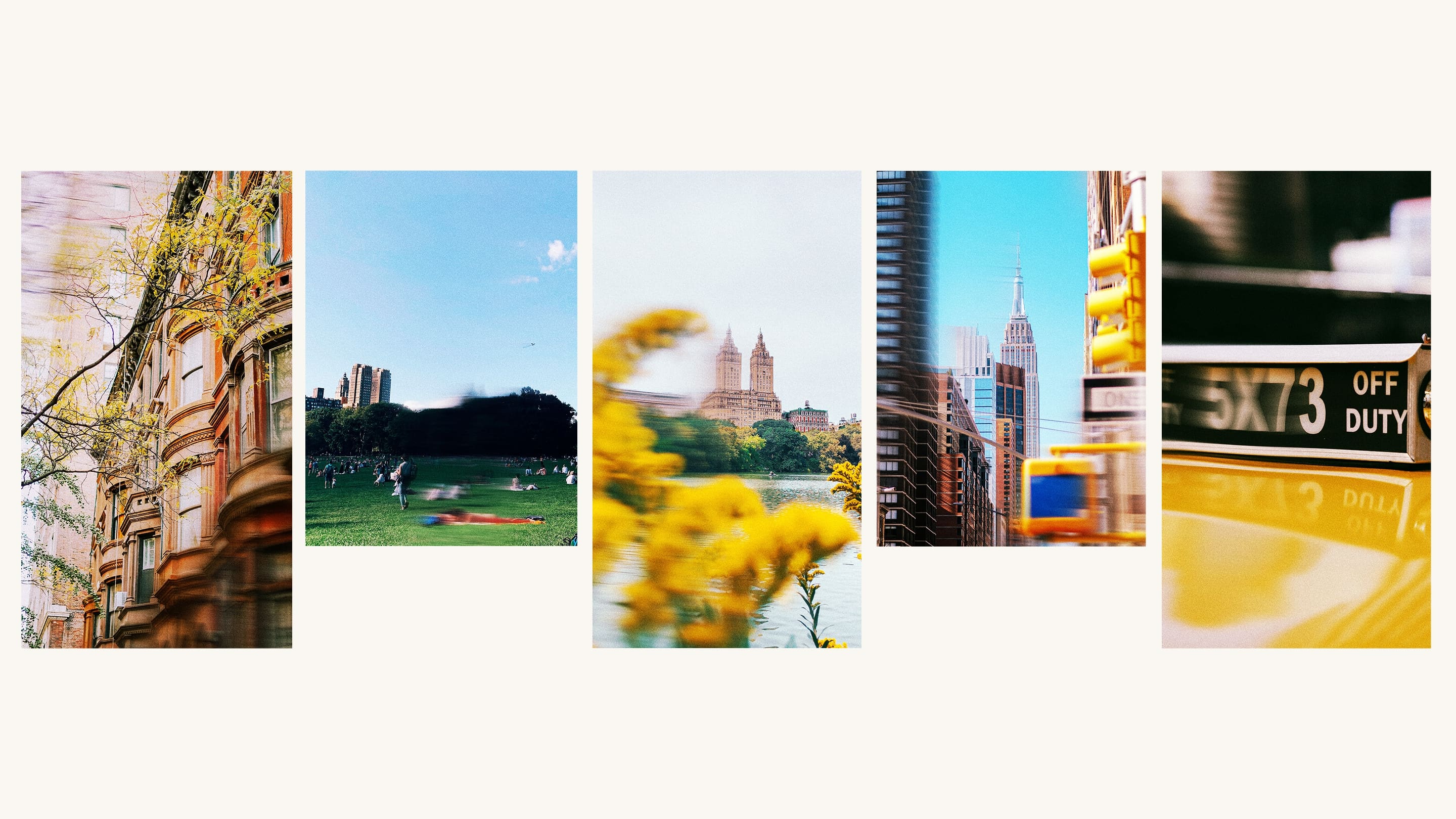 Photography treatments for Store 260 Brand Identity by Hoodzpah