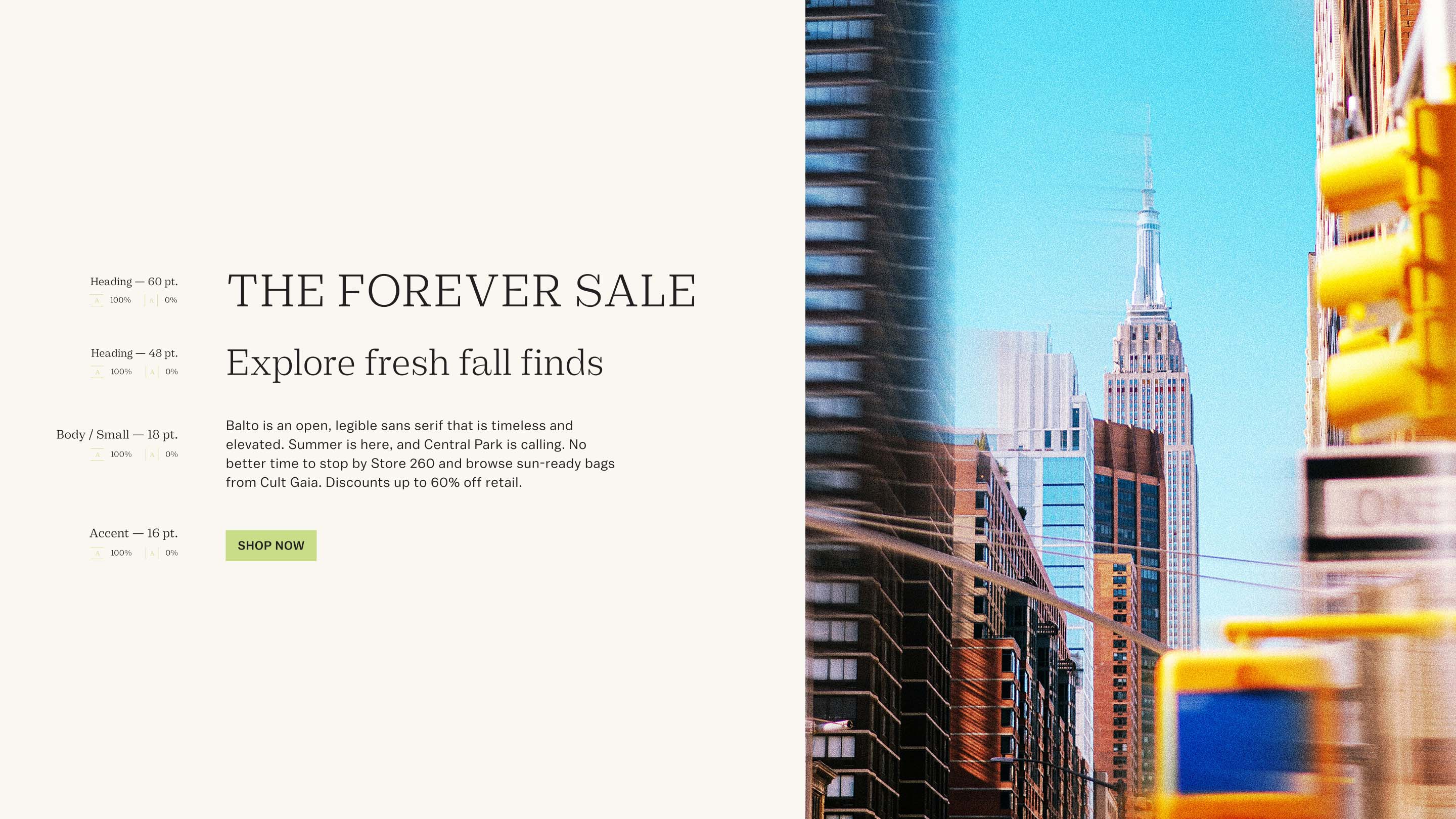Store 260 Type Styles