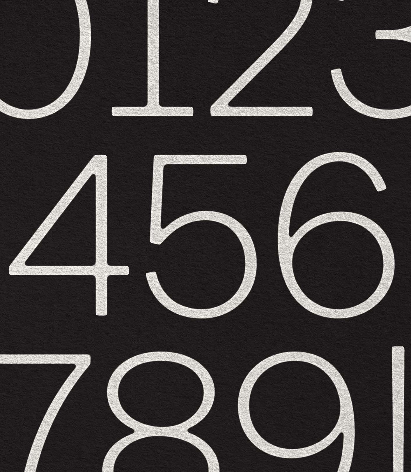 Typography Balto Feature