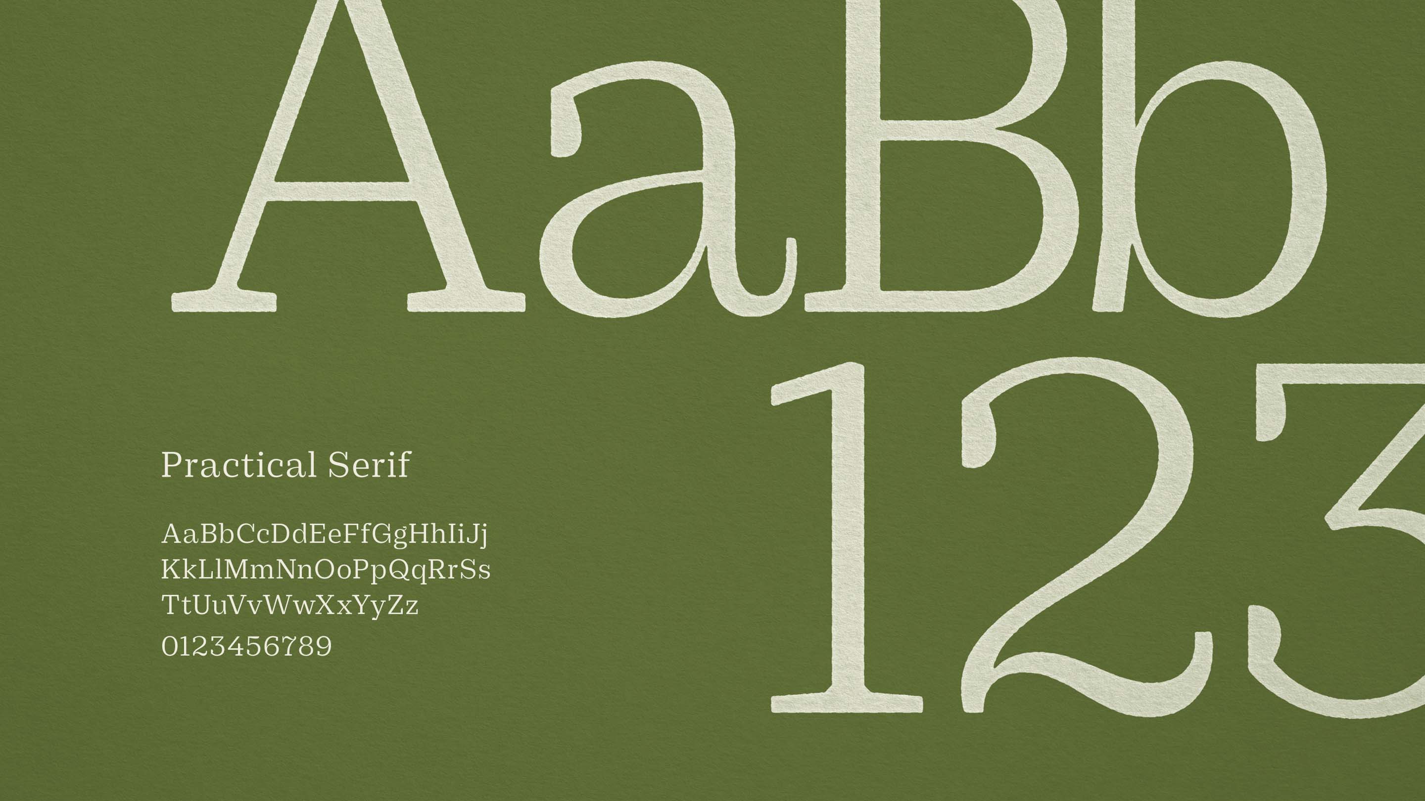 Store 260 Typography Practical Serif